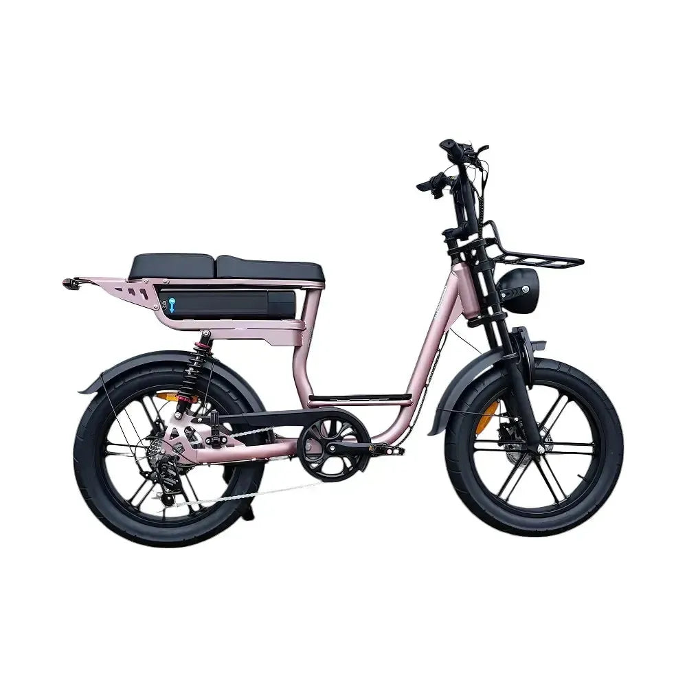 V20 Comfort Special Edition Rosé goud fatbike met accessoires