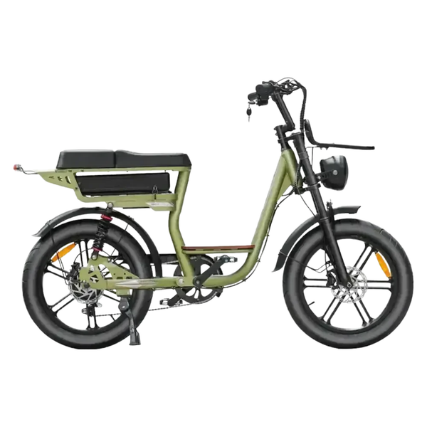 V20 Pro Comfort Groen fatbike