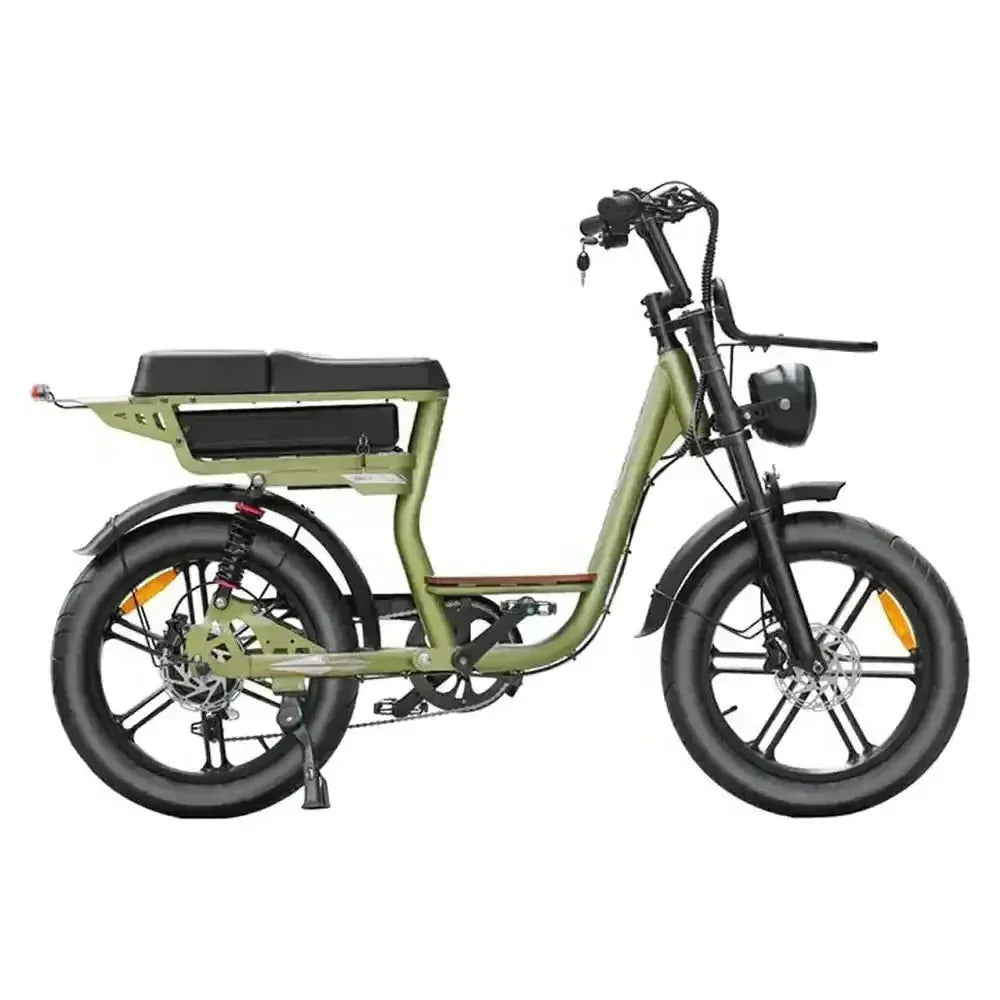 V20 Comfort Special Edition Groen fatbike met accessoires