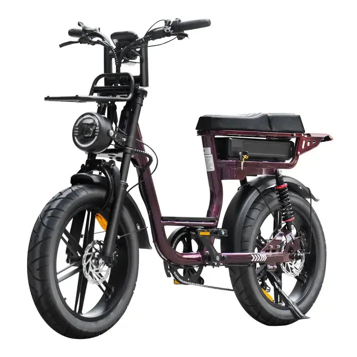 V20 Comfort Special Edition Paars fatbike met accessoires