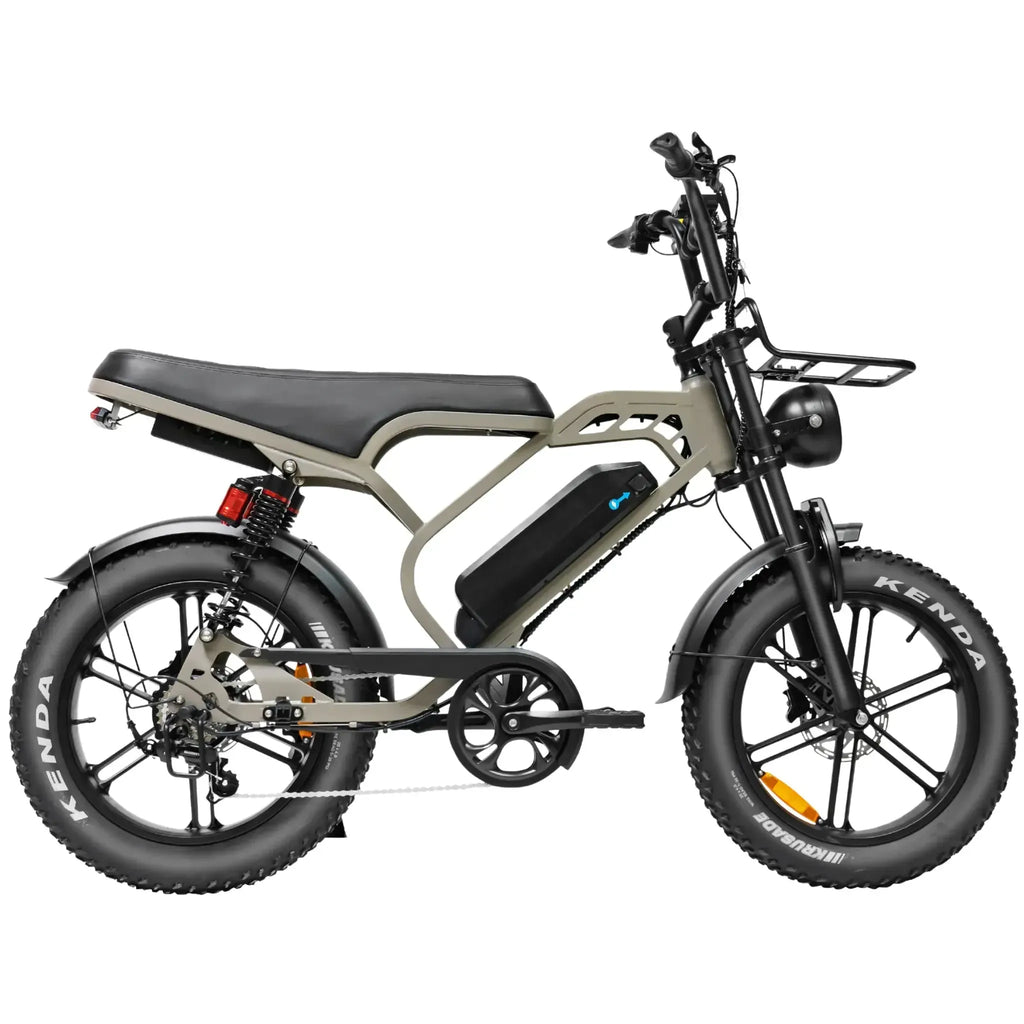 V20 Limited Bruin fatbike