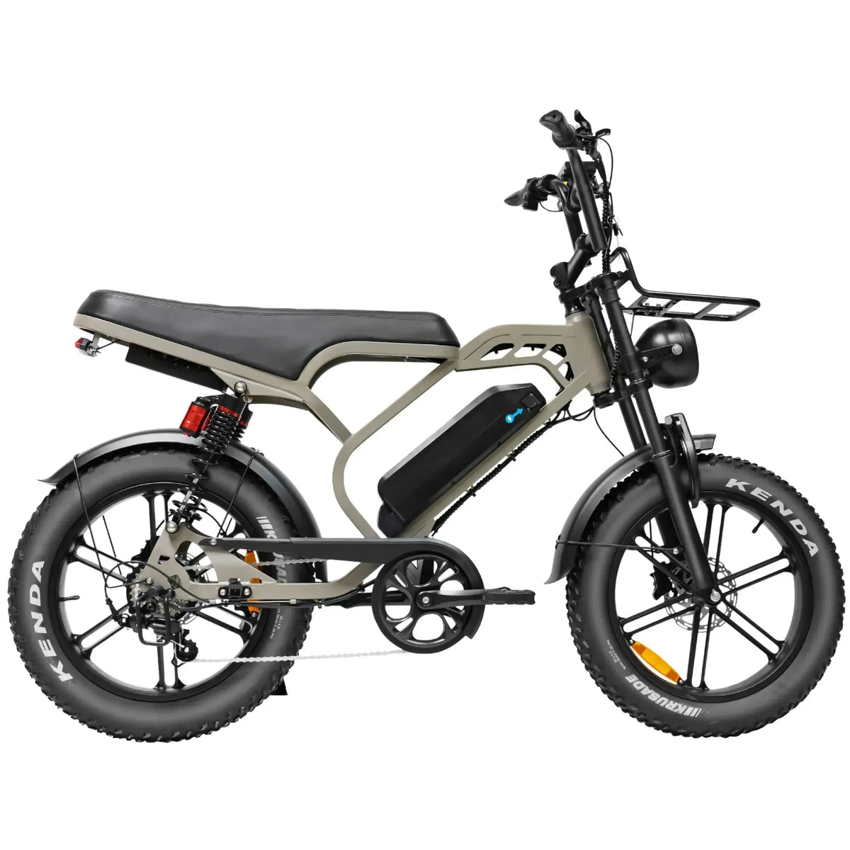 V20 Limited Bruin fatbike