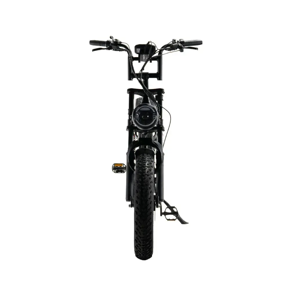 S20 Pro Zwart fatbike - foto 3