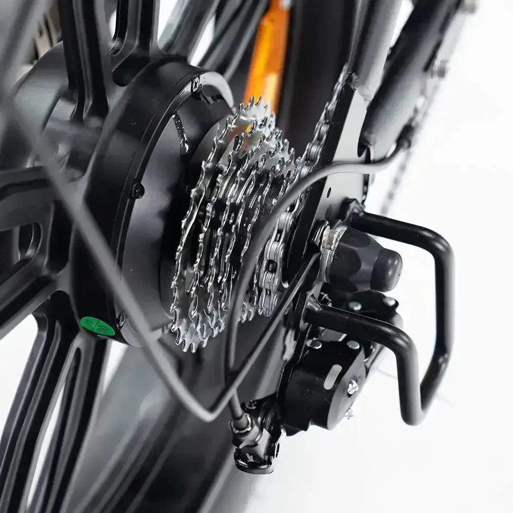 V20 Pro Special Edition Zwart fatbike met accessoires - foto 10