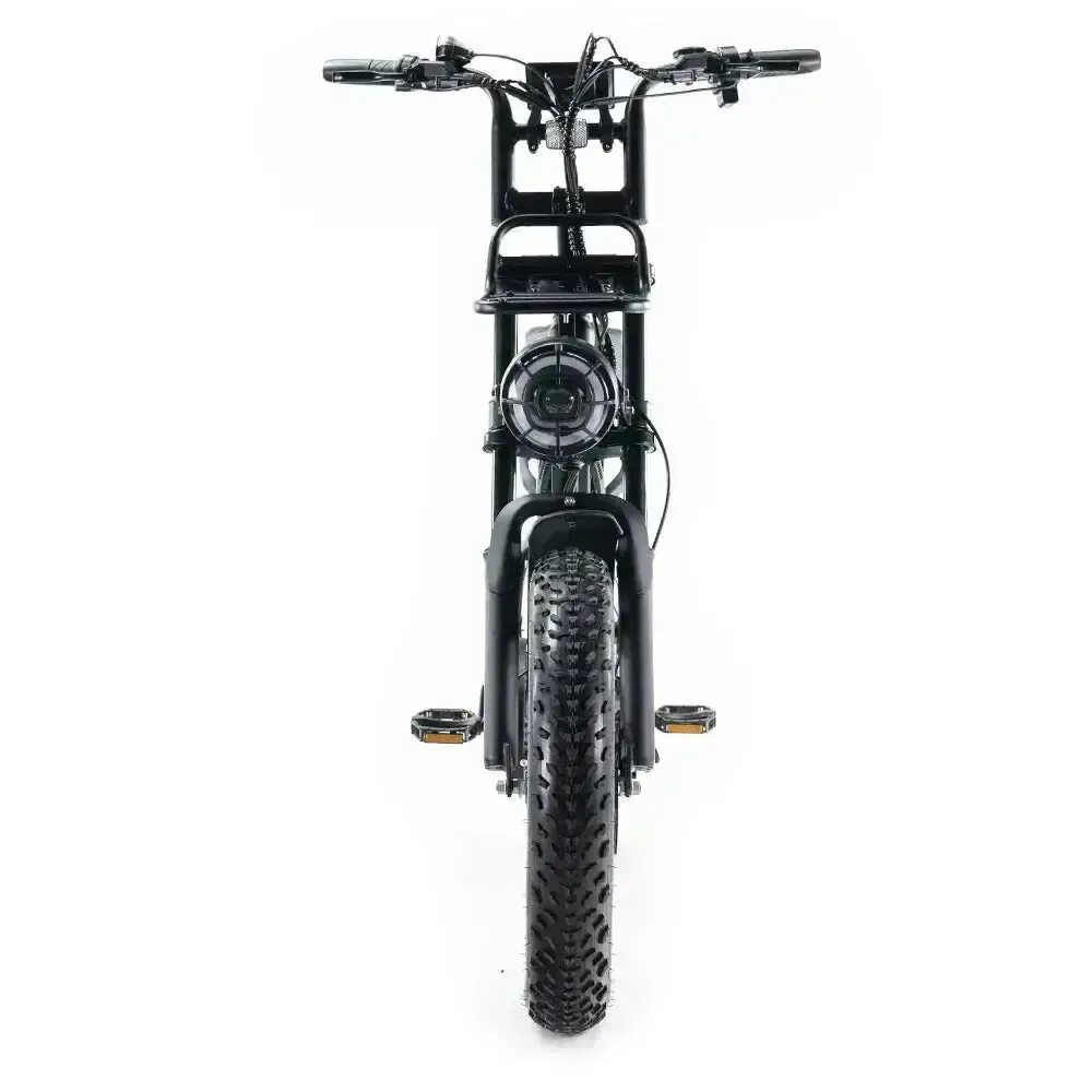 V20 Pro Special Edition Zwart fatbike met accessoires - remmen