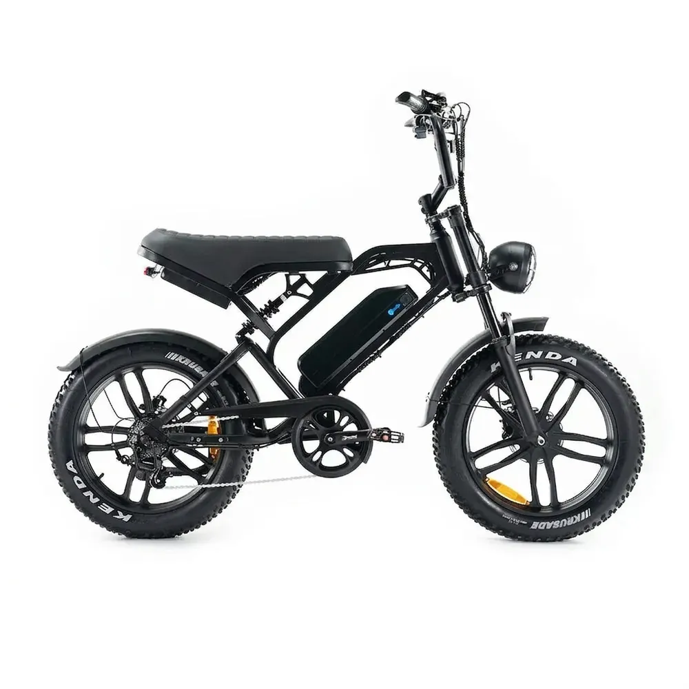 V20 Pro Zwart fatbike