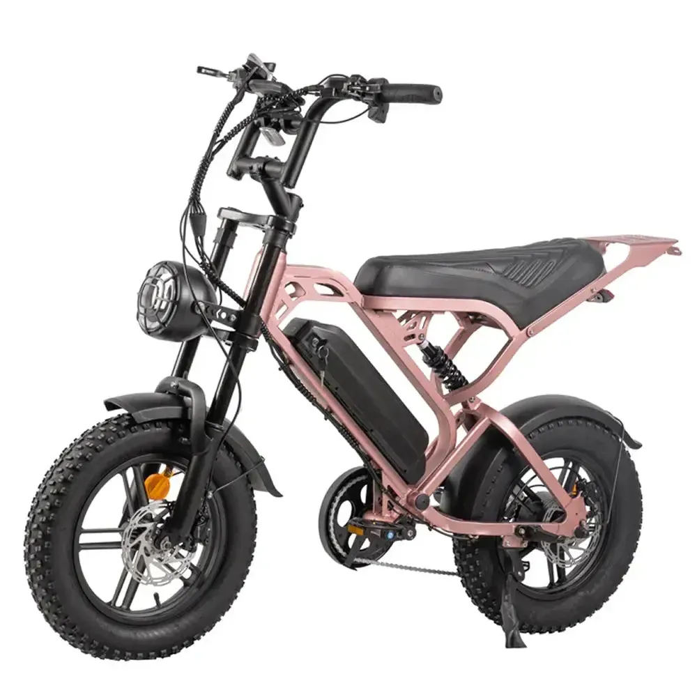 V20 Pro Mini Special Edition Rosé goud fatbike met accessoires - foto 2